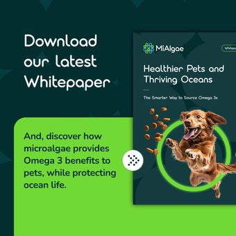 Ad by MiAlgae