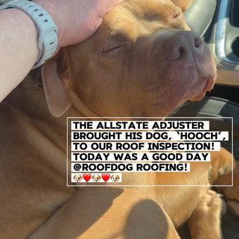 Ad by ROOFDOG ROOFING