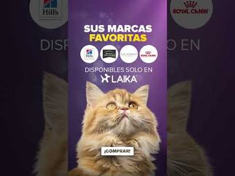 Ad by LAIKA
