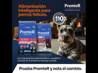 Ad by LAIKA