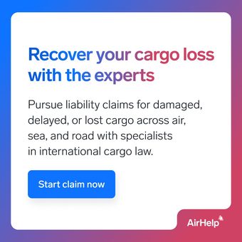 LinkedIn ad by AirHelp (Consumer)